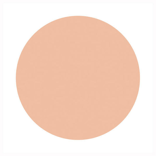 d Program Medicated Skincare Foundation (Powdery), SPF17 PA++, Refill, Pink Ochre 10, 10.5g
