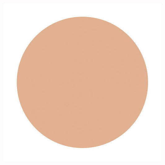 d Program Medicated Skincare Foundation (Powdery), SPF17 PA++, Refill, Ocher 20, 10.5g