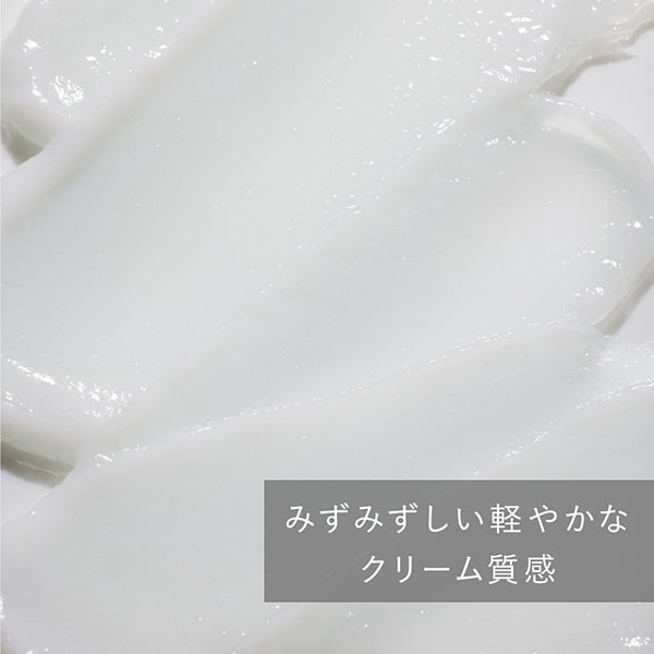 Ines Botanical Aroma Scalp Treatment, 40g x 5 types