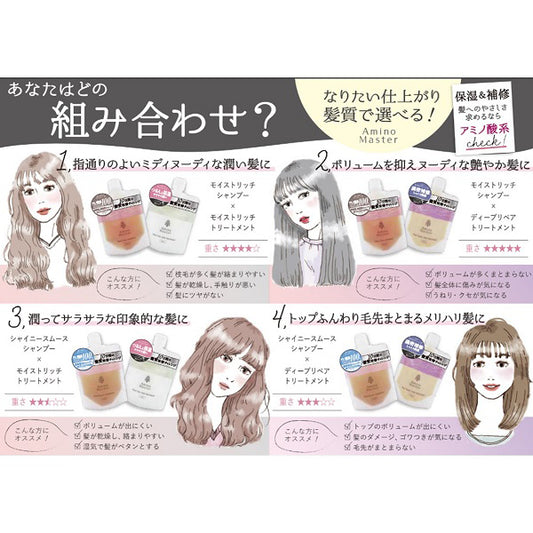 Amino Master Moist Rich Hair Treatment Compact, 100g