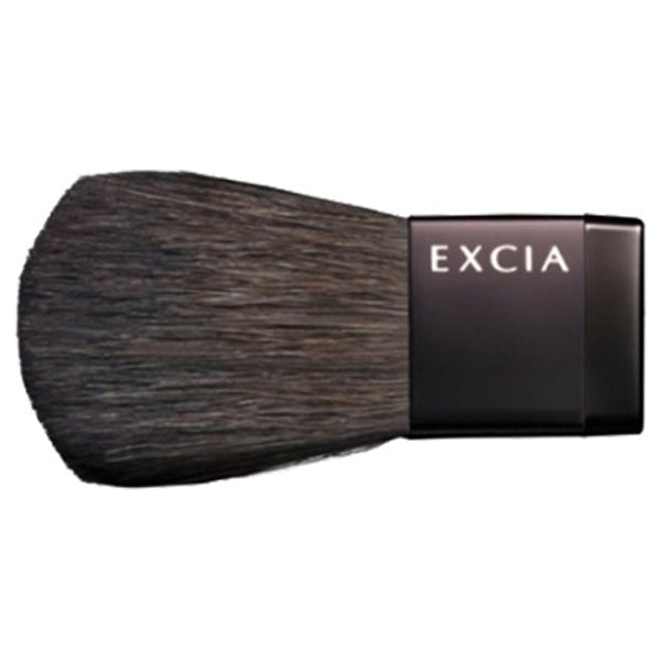 ALBION Excia AL Brush F
