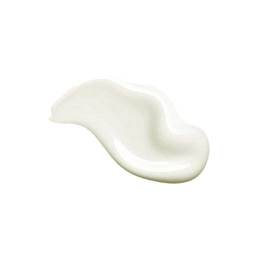 Waphyto Elevate Conditioner, 250g