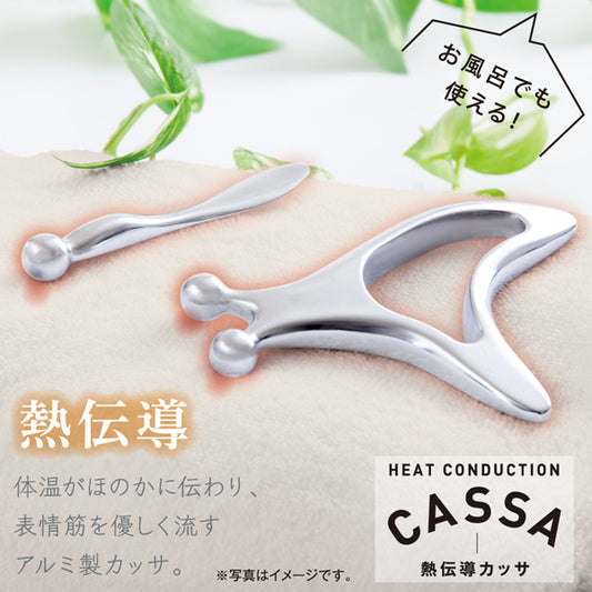 Alphax Heat Conduction Guasha Face & Body