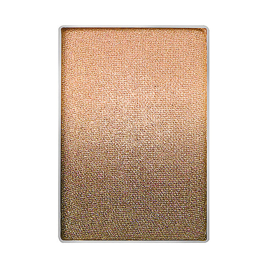Fasio Gradation Eye Color (05)
