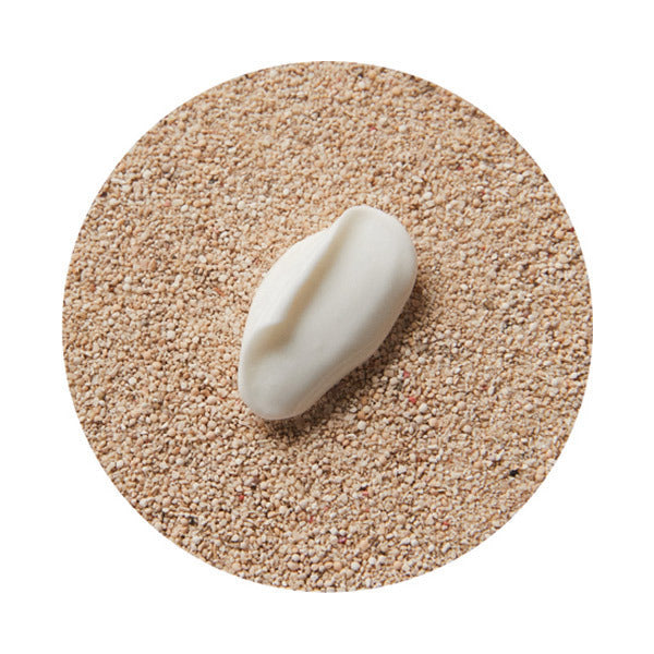 Sonomono S Moist Cream, 30g (White Musk)