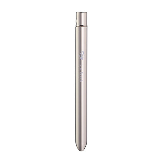 BEAUTY UP TOOL Lip Brush