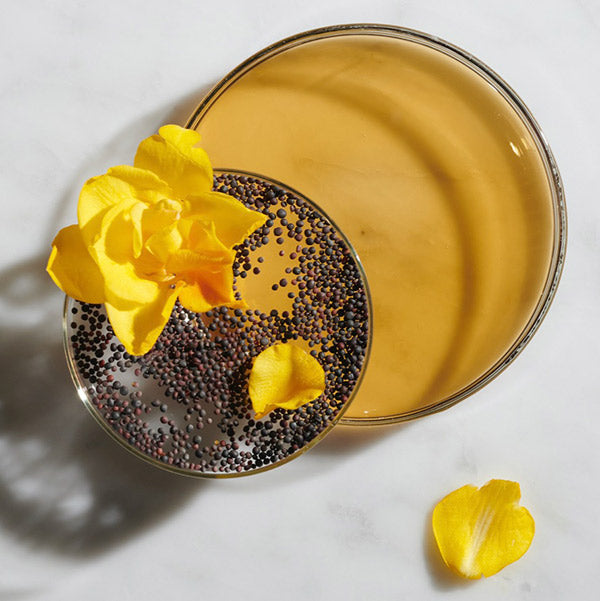 Kiehl's Kiehl's Brew Facial Essence FA, 200ml