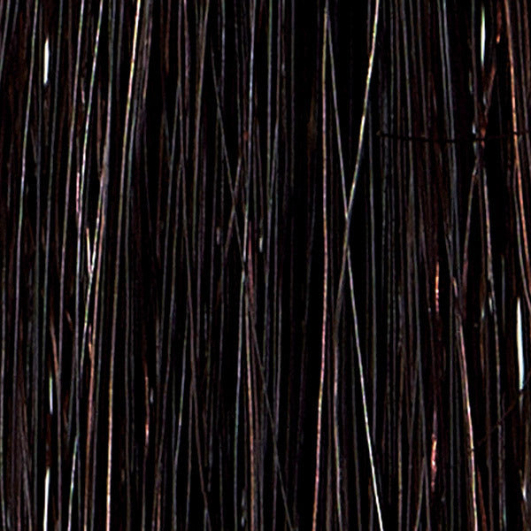 Cogit MOTTO Botanicolor Shampoo (Dark Brown), 300ml