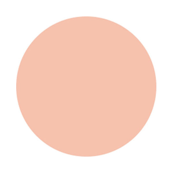 AQ Skin Forming Liquid Foundation, 401, 30ML