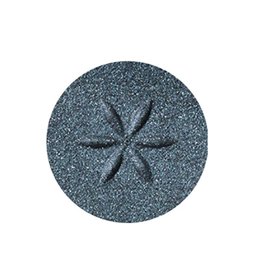 Cosme Decorte AQ Eyeshadow (15)