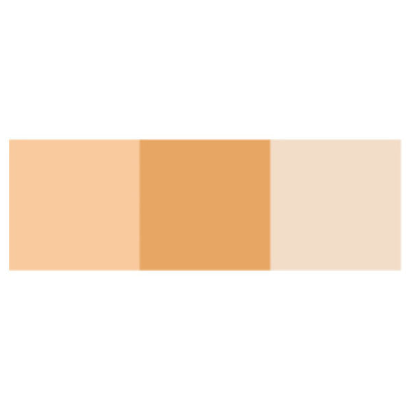 Dermacolor Cube Concealer and Powder (Medium Beige)