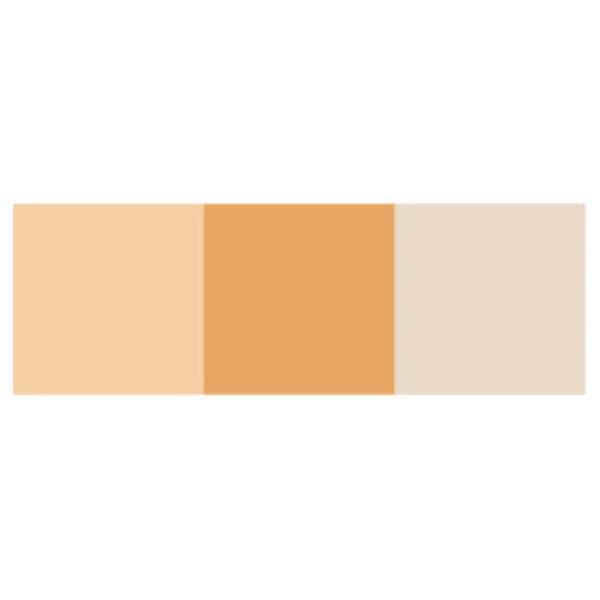 Dermacolor Cube Concealer and Powder (Beige)