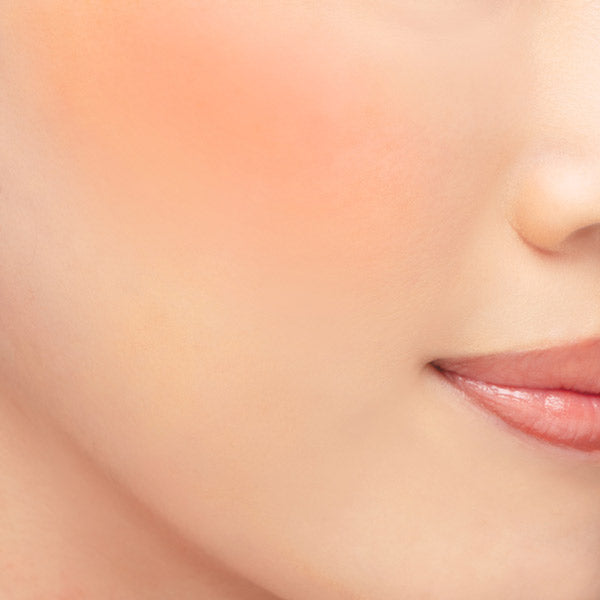 Chacott COSMETICS Multicolor Variation Vivid (VV10)