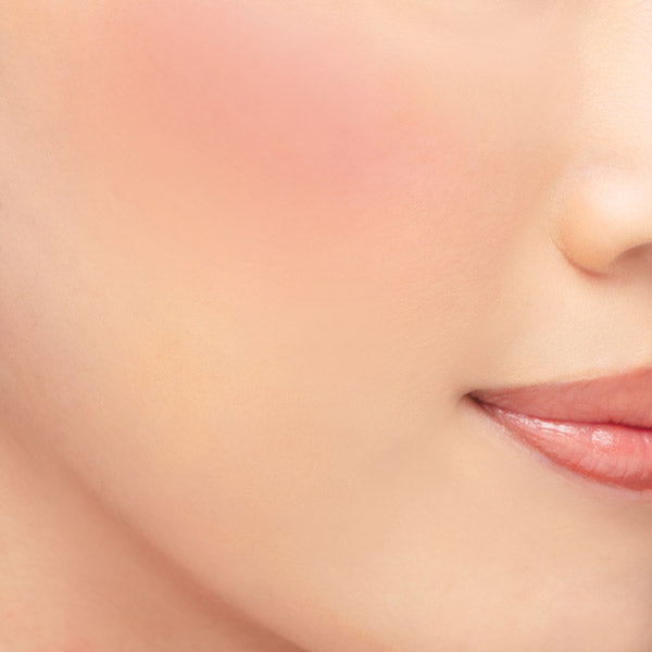 Chacott COSMETICS Multi-color variation vivid, VV02