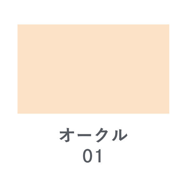 Ex:beaute Vision Foundation Silk SPF18 PA++ Refill (Ochre 01), 11g