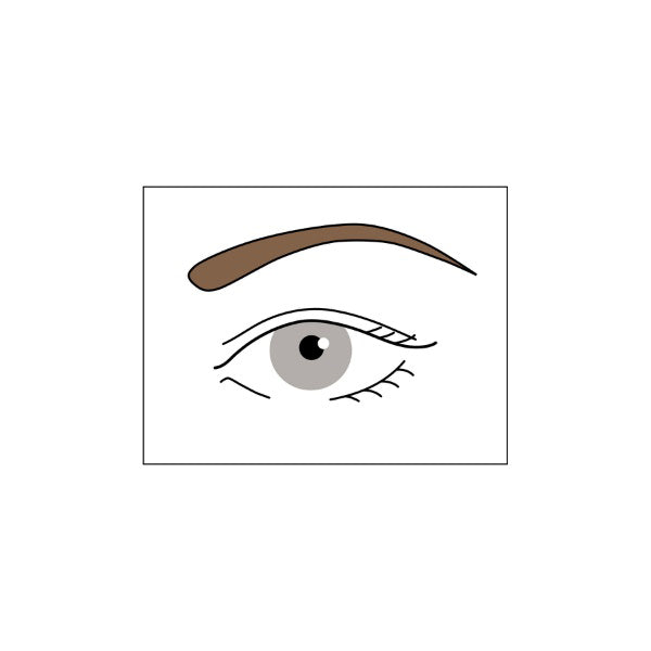 Chacott COSMETICS Eyebrow Pencil (54)