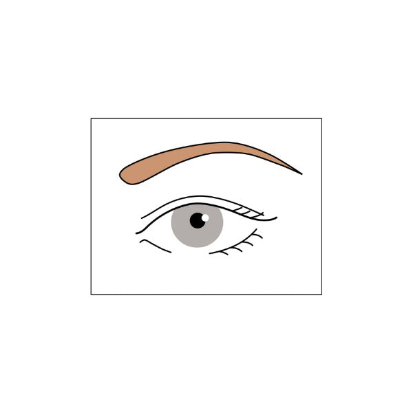 Chacott COSMETICS Eyebrow Pencil (53)