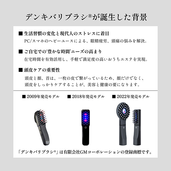 ELECTRON Denki Bari Brush 2.0 (Face Attachment Set)