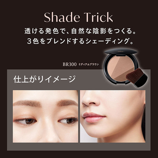 VISEE Shade Trick, BR300 Medium Brown, 8.5g