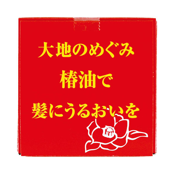 Motojima Tsubaki Pure Camellia Oil, 70ml