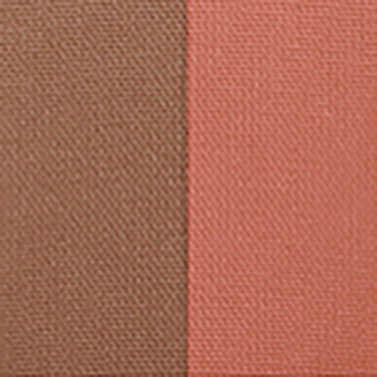 ADDICTION Pressed Duo Eyebrow (005 Apricot Duo)