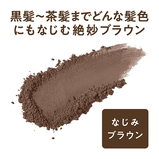CEZANNE Hair Make Powder (Blended Brown)