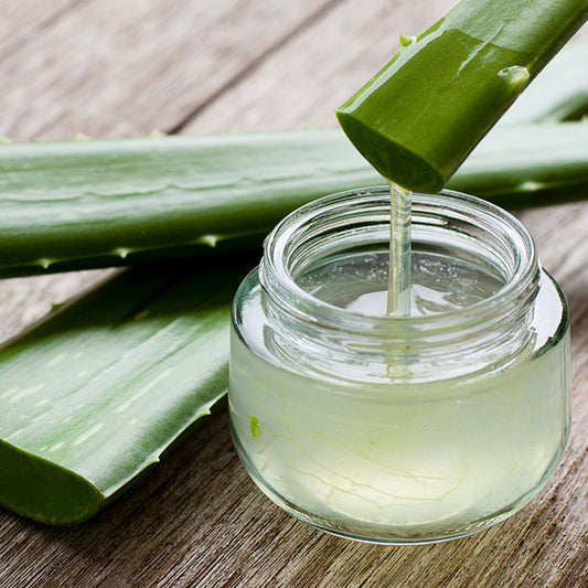 OYESS Lip Balm Aloe Vera, 4.8g