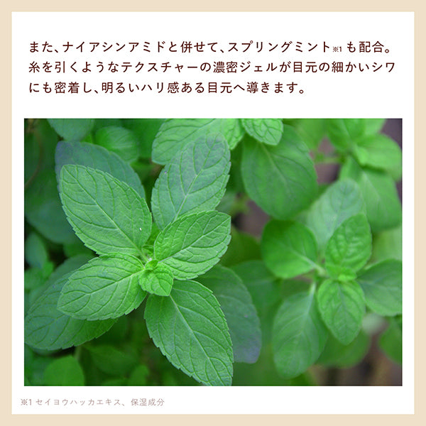 N organic N organic Plenum Wrinkle Direct Essence, 15g