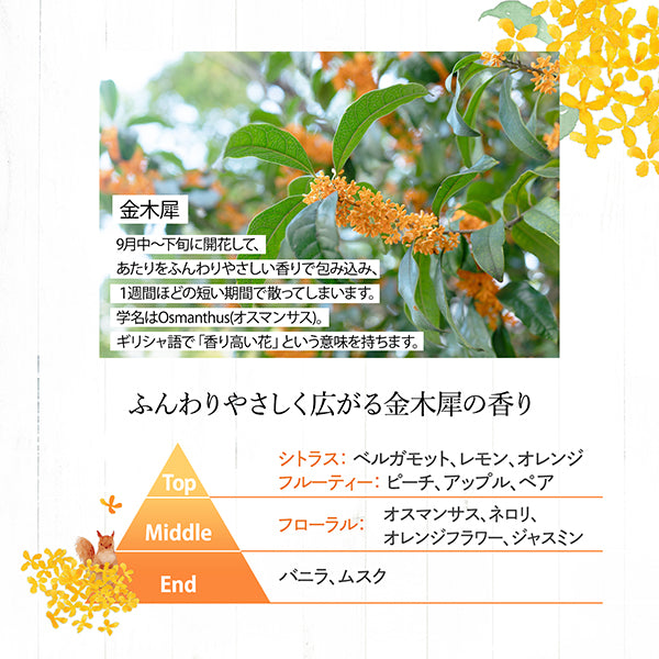 White Body Wash Rich Moist, 500ml, Osmanthus Scent