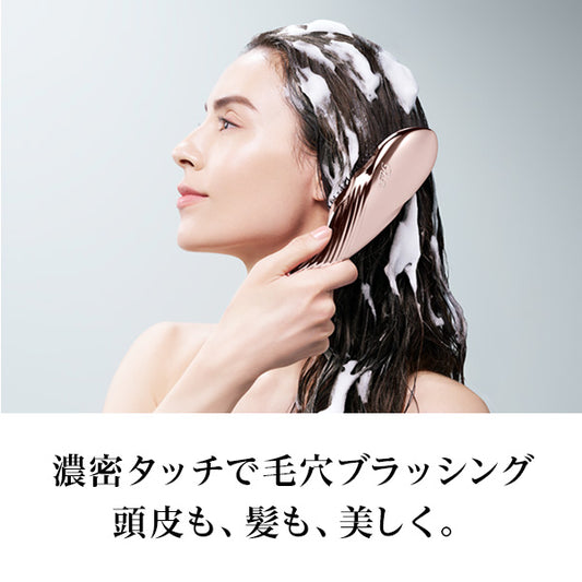 ReFa Ion Care Brush Premium (110g)