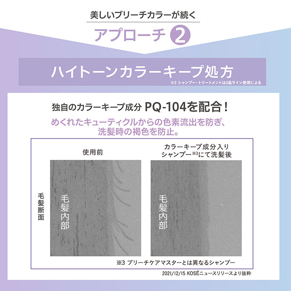 STEPHEN KNOLL Stephen Knoll Bleach Care Master Treatment, 300ml, Herbal Fruity Floral