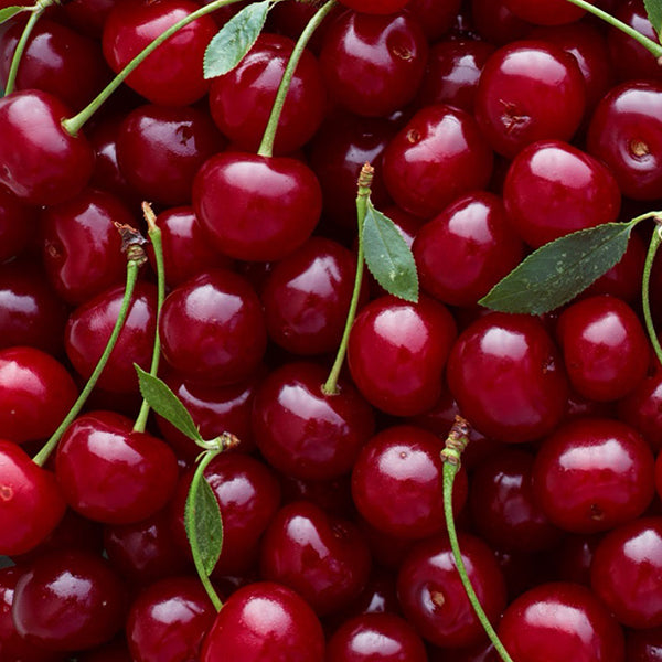 OYESS Lip Balm Cherry, 4.8g