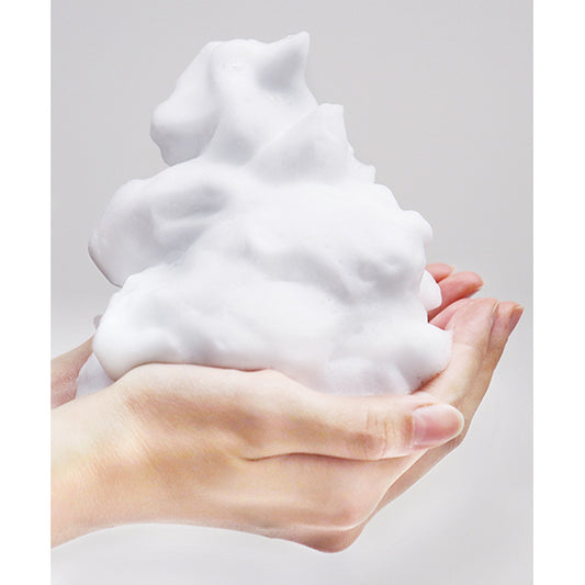 Sekai no Kajitsu Refreshing Foaming Face Wash, 500ml