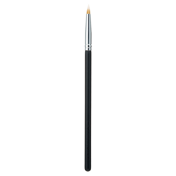 Pointed eyeliner brush