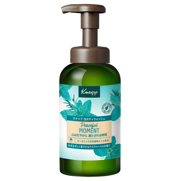 Foaming Body Wash, 450g, Peaceful Moment Aqua Herbal Scent