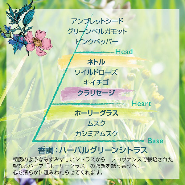 LOCCITANE Elbaveil Shower Gel, 250ml