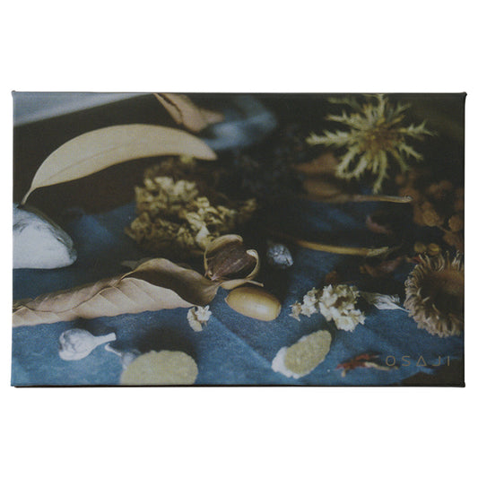OSAJI Nuance Face Color Palette (H21 Yumenimitahana Flower of a Dream)