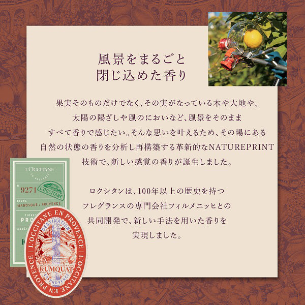 L'Occitane Hand Cream Gift for All, 10ml×10