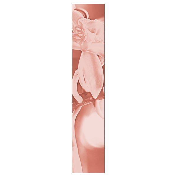 KiSS Lip Arrow X (05)