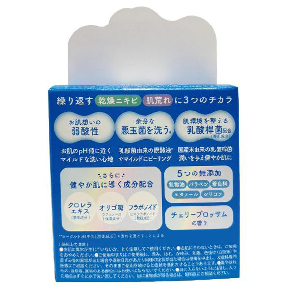 Skin Maintenance Facial Soap, 80g, Cherry Blossom Scent