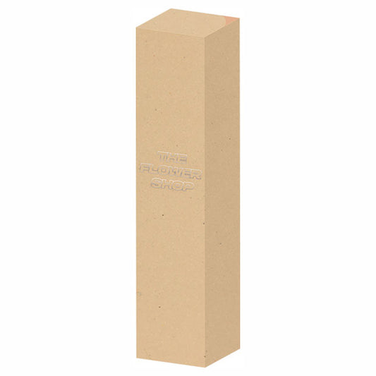 MSH The Flower Shop Concealer (Orange)
