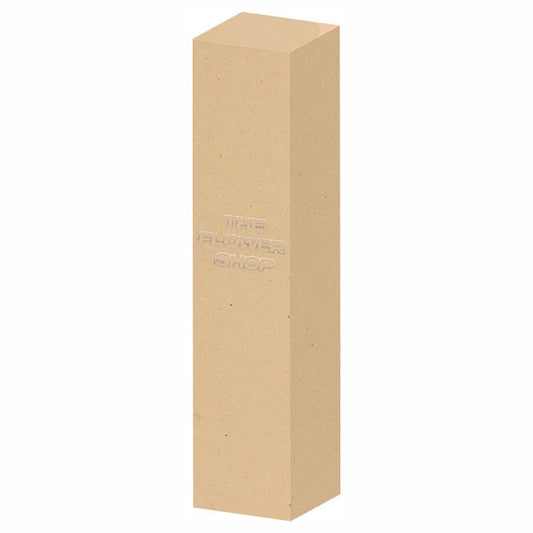 MSH The Flower Shop Concealer (Light Beige)