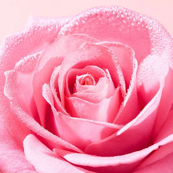 NUXE Very Rose Toning Lotion, 200ml