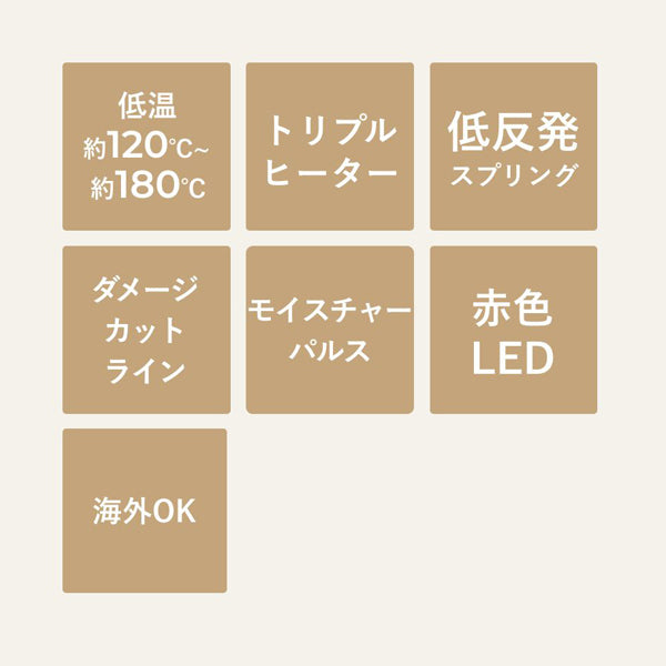 Ya-Man Tokyo Japan Smooth Iron Photo Ion Plus (Gold)