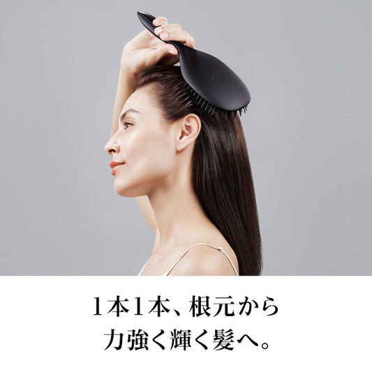 ReFa Paddle Premium