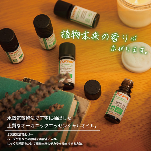 Ylang Ylang Bio, 10ml