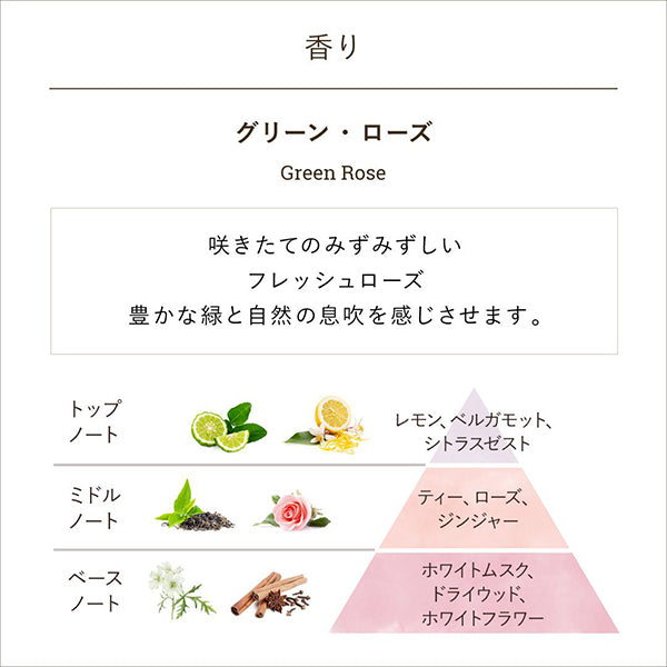 Hair Care Discovery Gift Green Rose, 20g, 50ml, 15ml, Green Rose