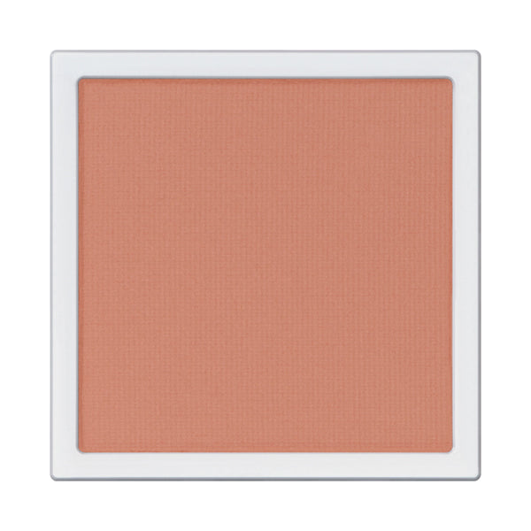 ADDICTION The Single Eyeshadow Matte Refill (010M Same School)