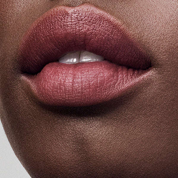 Estée Lauder Pure Color Whisper Matte Lipstick (369 Not So Shy)