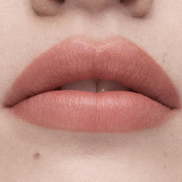 Estée Lauder Pure Color Whisper Matte Lipstick (261 Speak in Code)